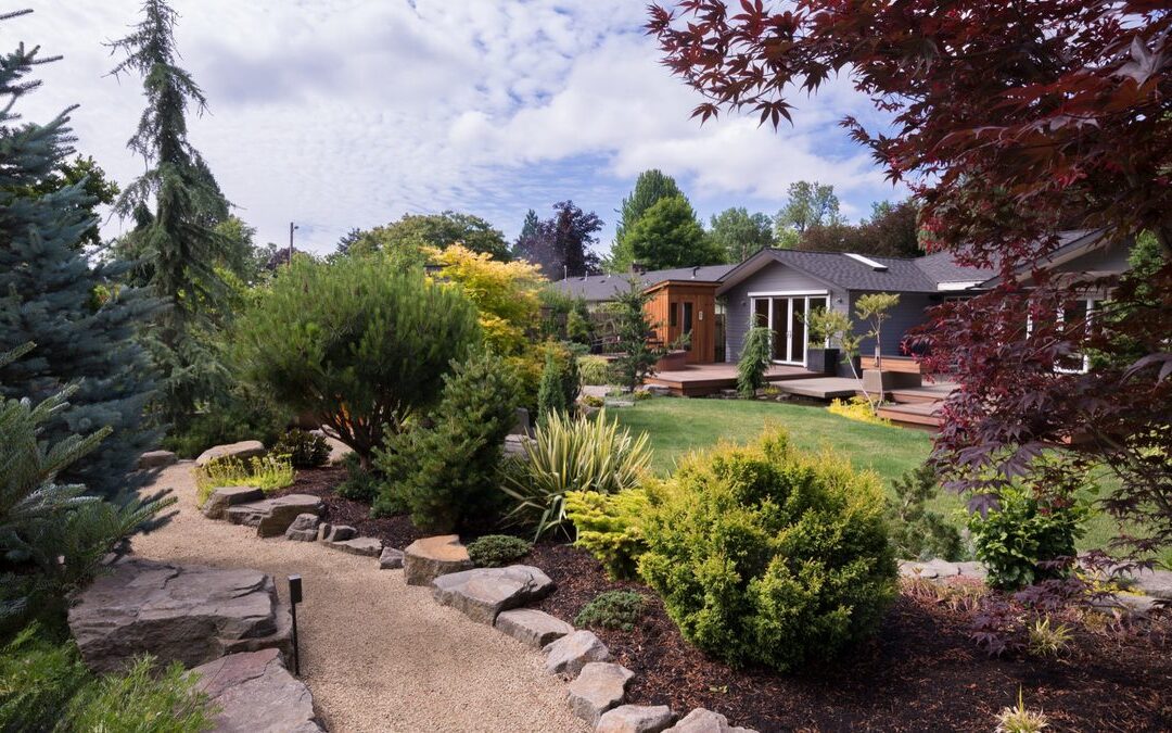 A Front Yard Plan That Leaves Room for Mature Trees