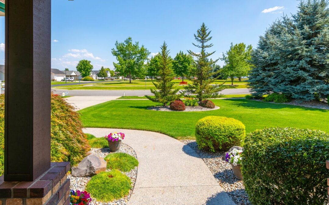 Designing a Yard Around How Your Family Uses It