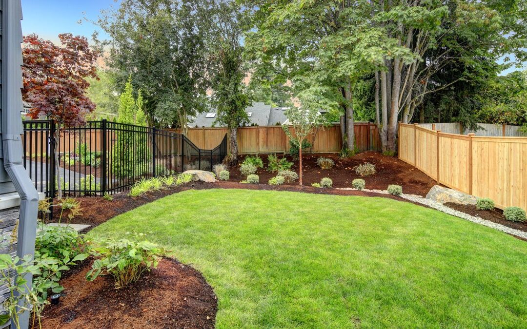 How Long New Sod Needs to Root